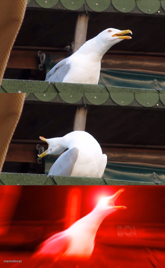 Inhaling seagull - meme generator image preview
