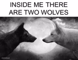 Inside me there are two wolves