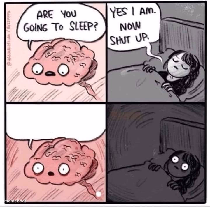 insomnia brain can't sleep blank - meme generator image preview