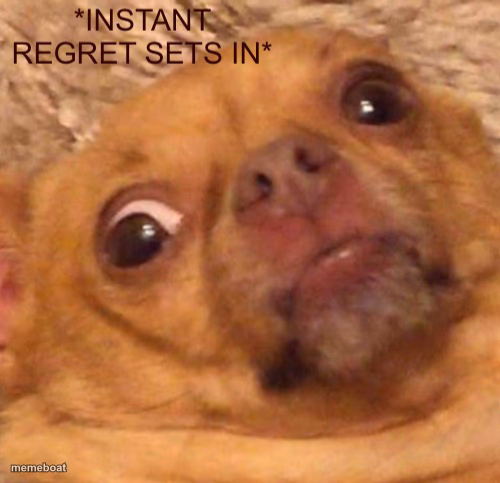 Instant regret sets in - meme generator image preview