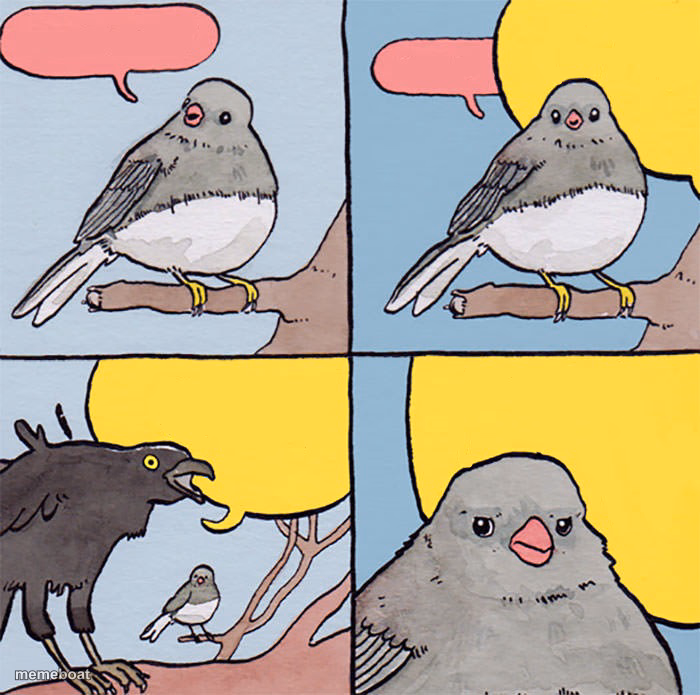 Interrupting bird - meme generator image preview