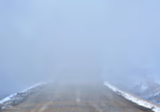 Into the fog