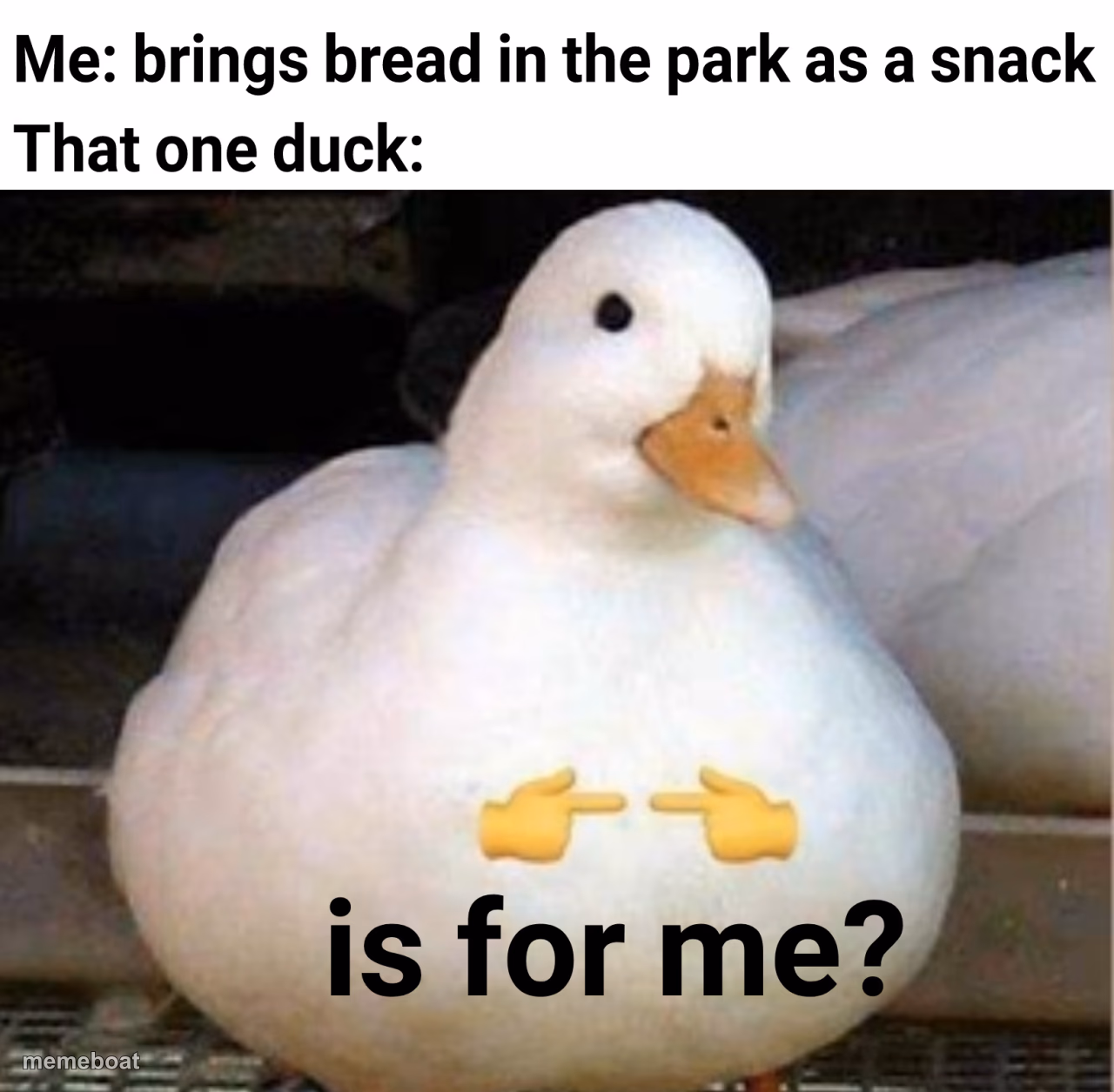 is it for me? - meme generator image preview