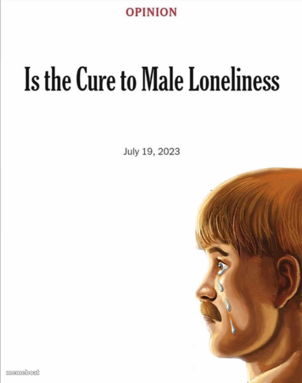 Is the cure to male loneliness image template - meme generator image preview