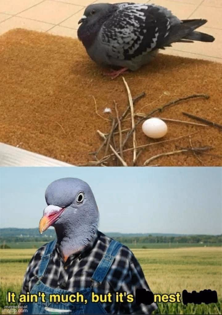 It ain’t much but it’s nest - meme generator image preview