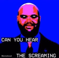 JD Vance "Can You Hear the Screaming" - meme generator image preview