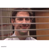 Jim Office Blinds