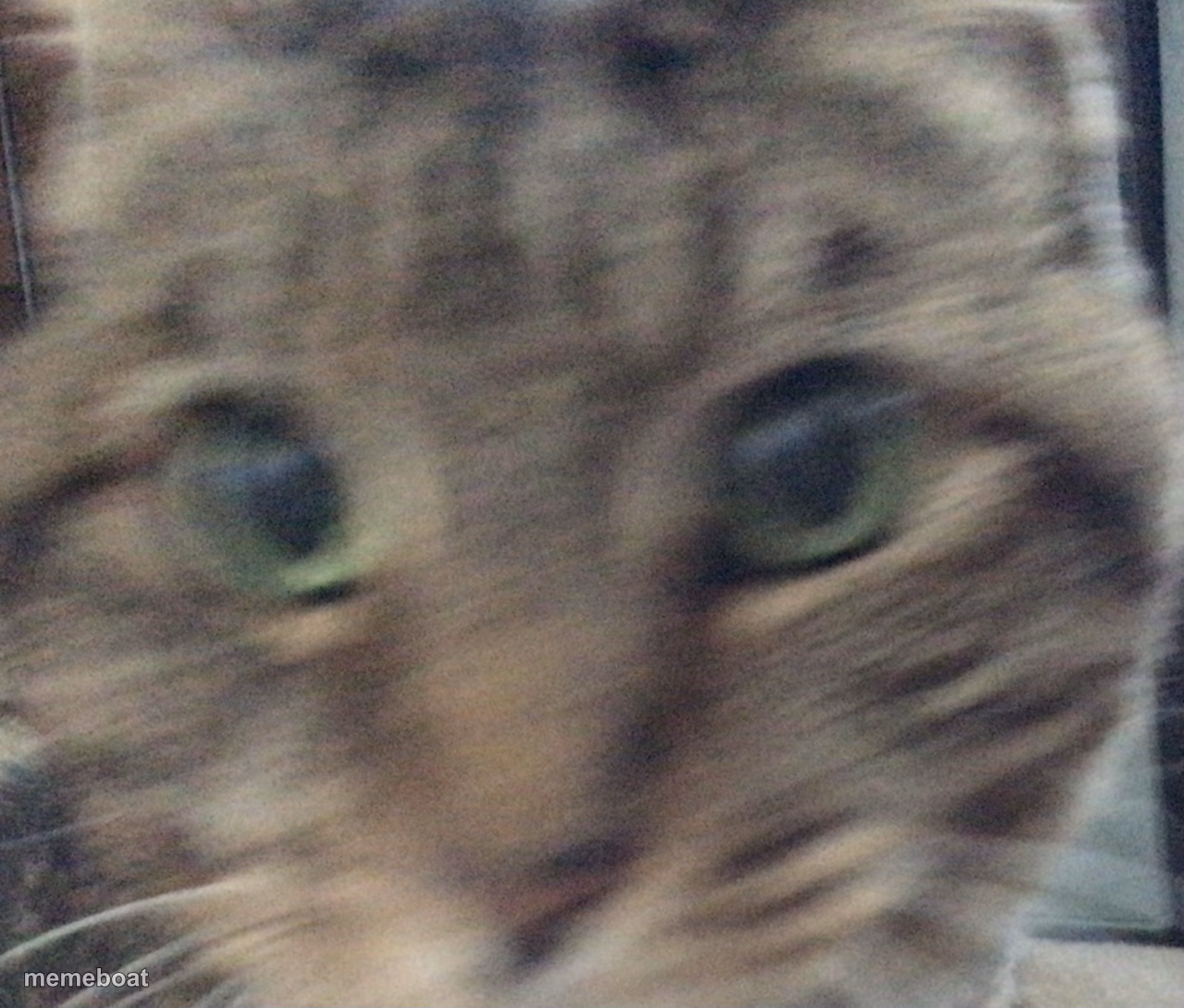Jinxy - meme generator image preview