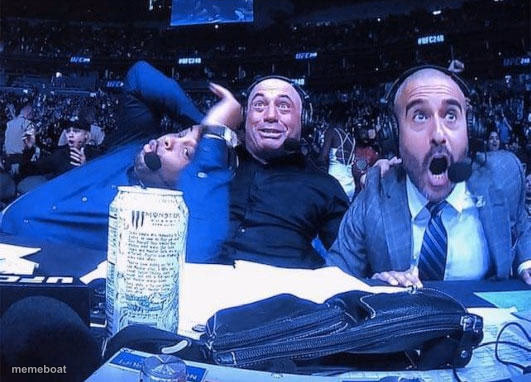 Joe Rogan ufc 248 reaction - meme generator image preview