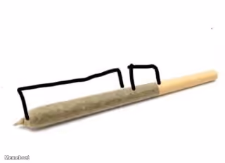 Joint With Drawn Sections