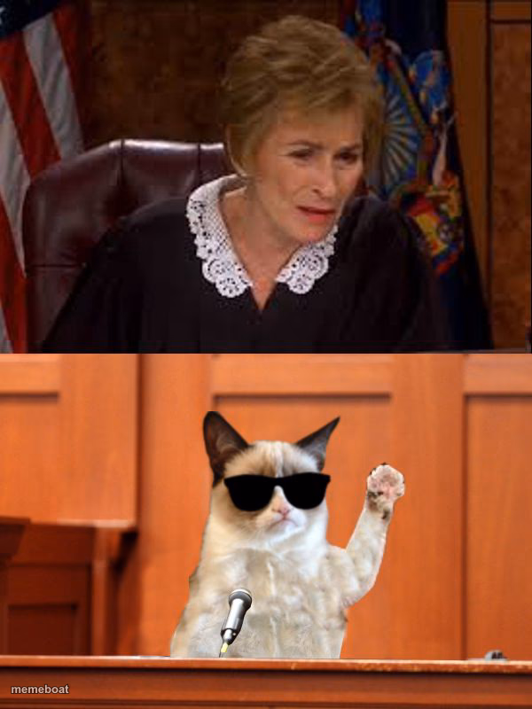 Judge Judy and The Cat - meme generator image preview