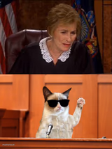 Judge Judy and The Cat
