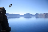 Jump off Cliff