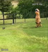 JURASSIC PARK IS REAL