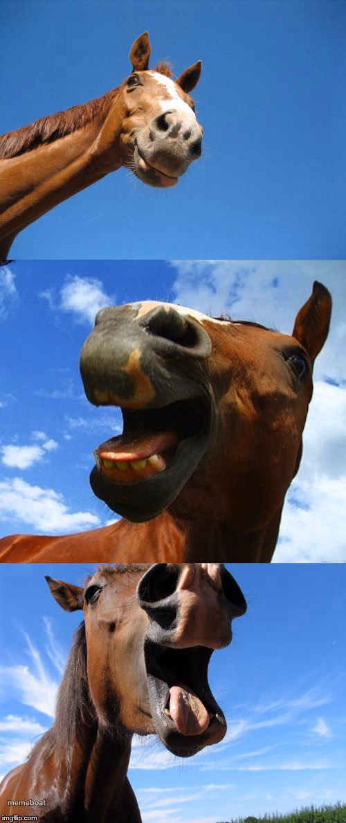 Just Horsing Around - meme generator image preview