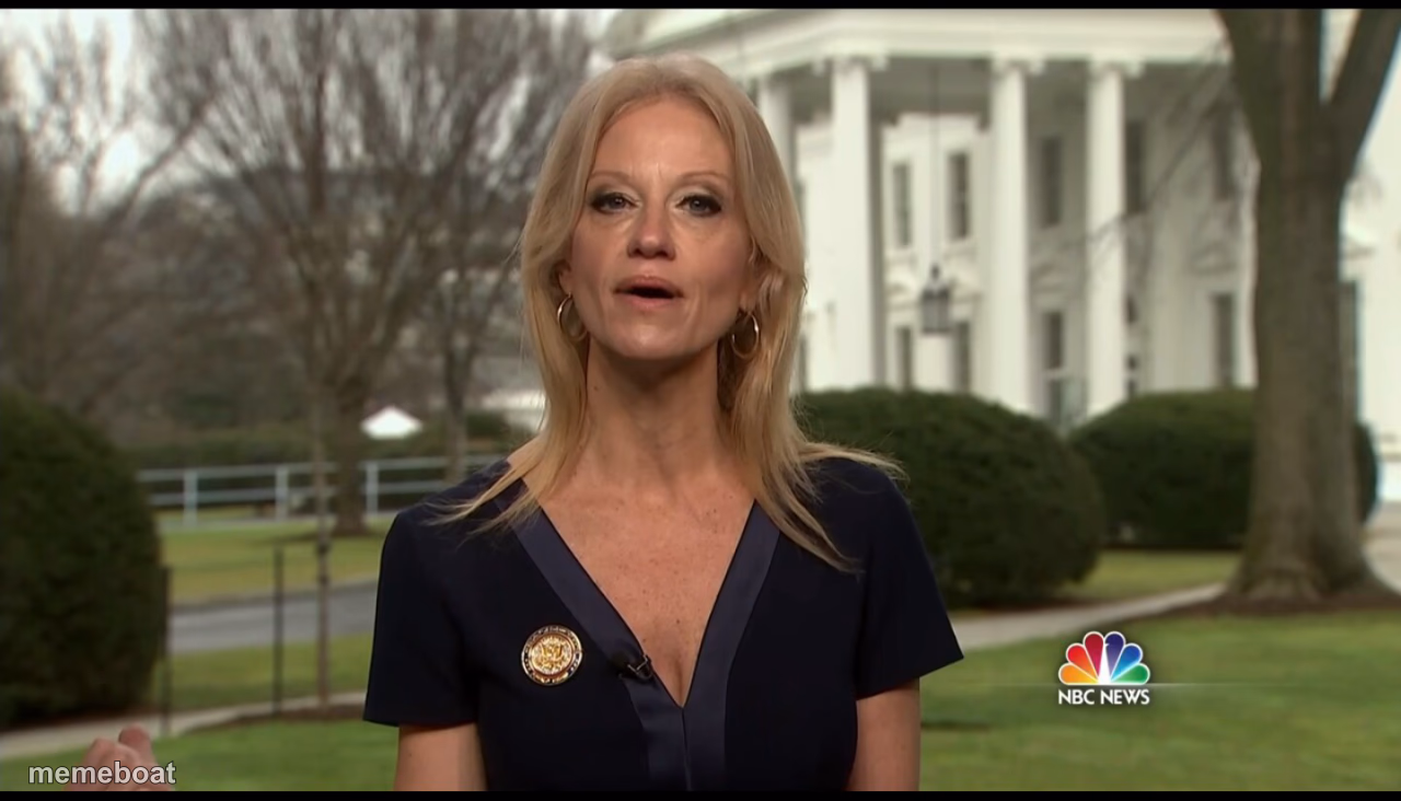 Kelly Ann Conway - meme generator image preview
