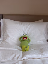 kermit bed