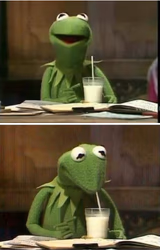 Kermit drinking milk