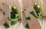 Kermit Hugging Phone