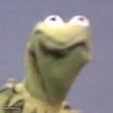 kermit is not happy