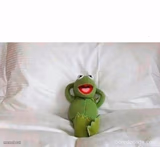 Kermit laying in bed