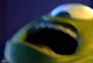 Kermit Offended