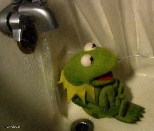 Kermit on Shower - meme generator image preview