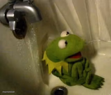 Kermit on Shower