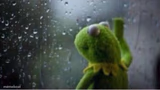 Kermit rain
