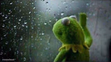 Kermit staring out of window
