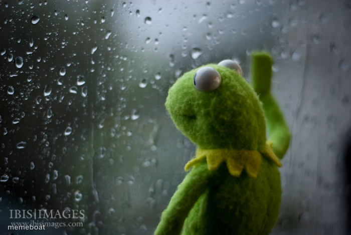 Kermit the frog rainy day - meme generator image preview