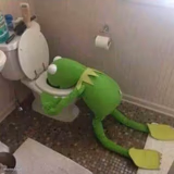 kermit the frog vomiting in toilet