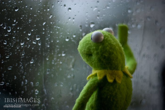 kermit window - meme generator image preview
