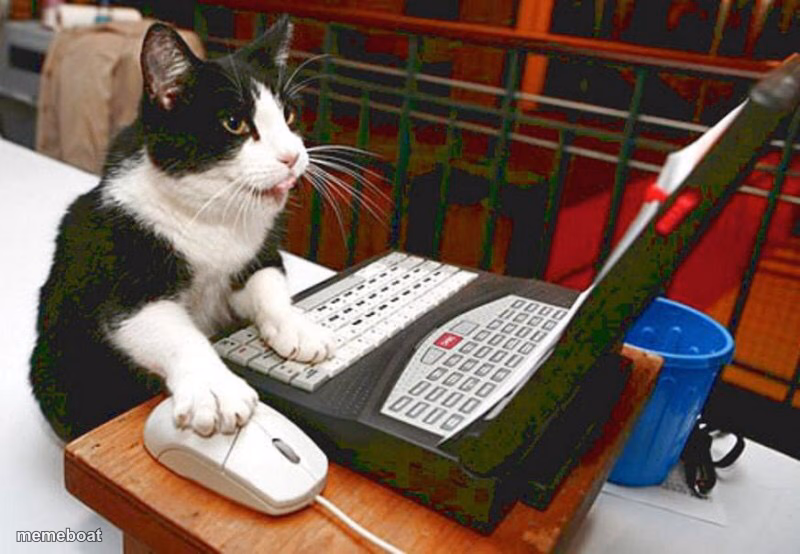 Keyboard Cat - meme generator image preview