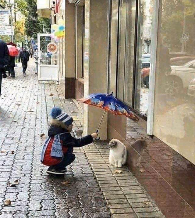 kindness - meme generator image preview