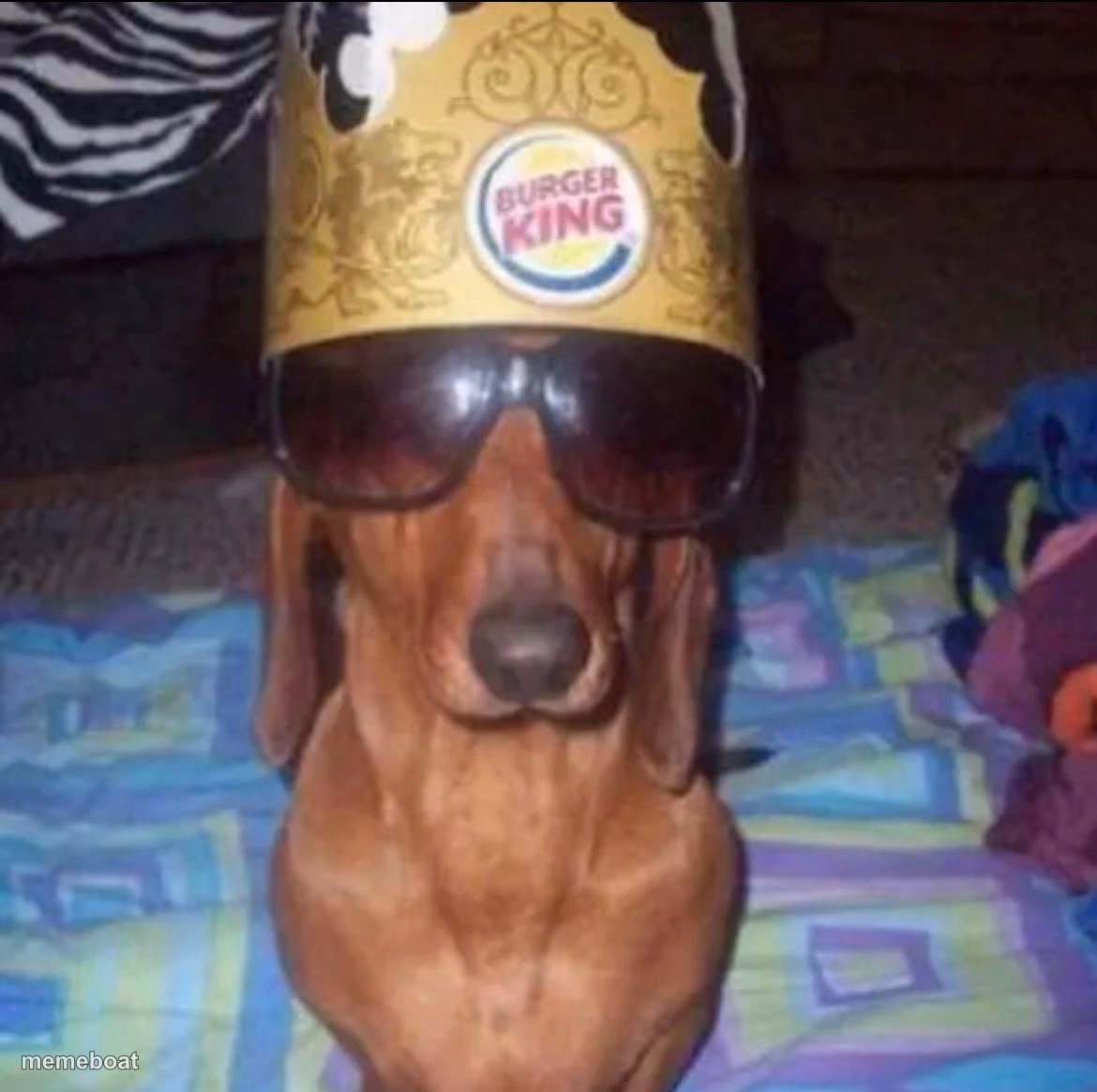 King dog - meme generator image preview