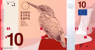Kingfisher Euro Banknote