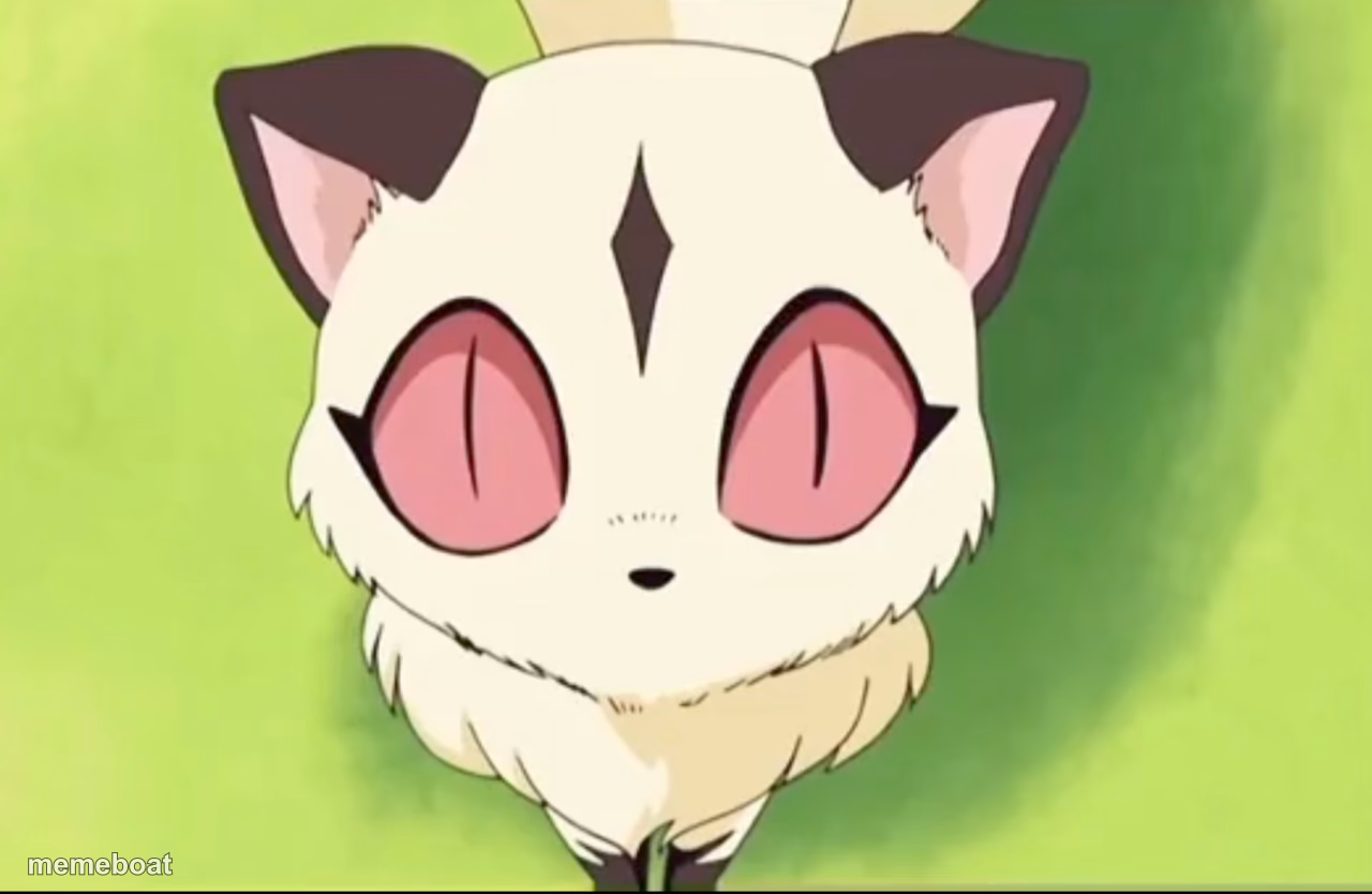 Kirara stare - meme generator image preview