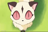 Kirara stare