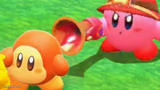 Kirby point Waddle Dee with Gun