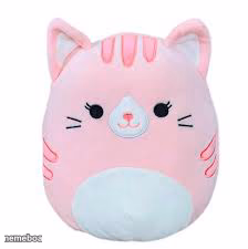 Kitty - meme generator image preview
