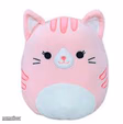 Kitty