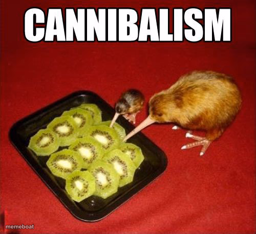 kiwi - meme generator image preview