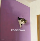 Konichiwa