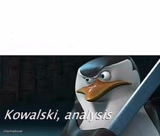 kowalski, analysis