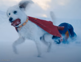 Krypto carrying Superman