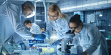 Laboratory Scientists