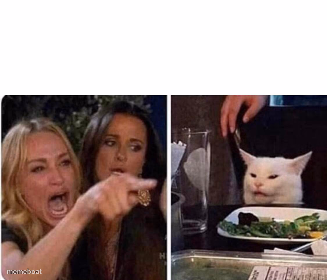 Lady screams at cat - meme generator image preview