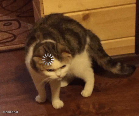 Lag Cat - meme generator image preview