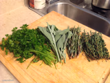 laid-back herbs